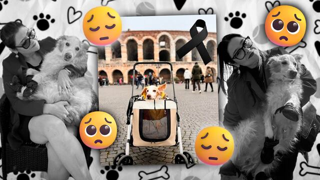 Muerte del perro Mazapán