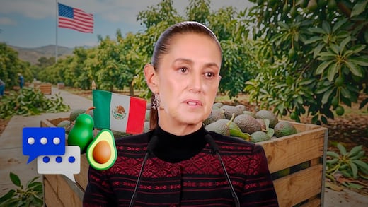 Sheinbaum revela estrategia para enfrentar veto al aguacate michoacano en Estados Unidos