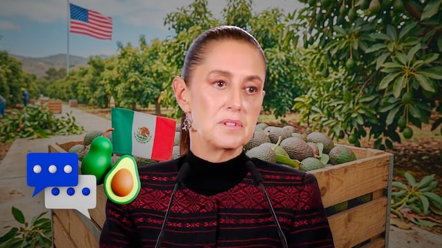 Claudia Sheinbaum revela plan para regresar la exportación de aguacate ac Estados Unidos
