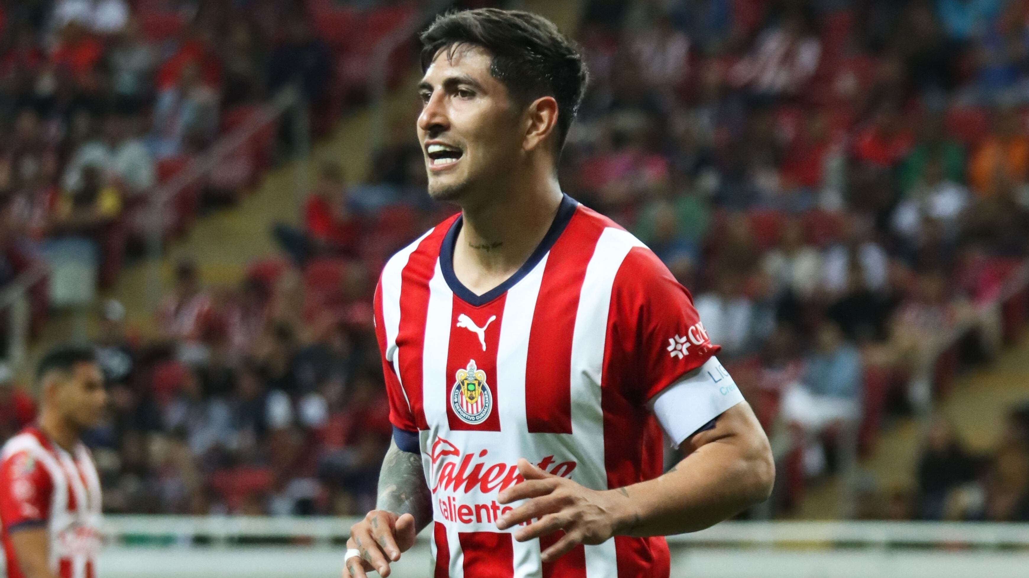Pocho Guzmán