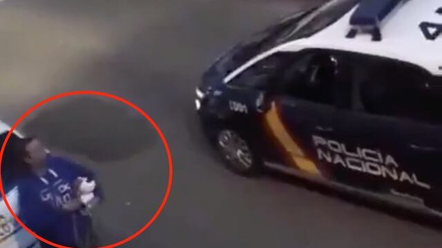 Pasea a perro de peluche en cuarentena.