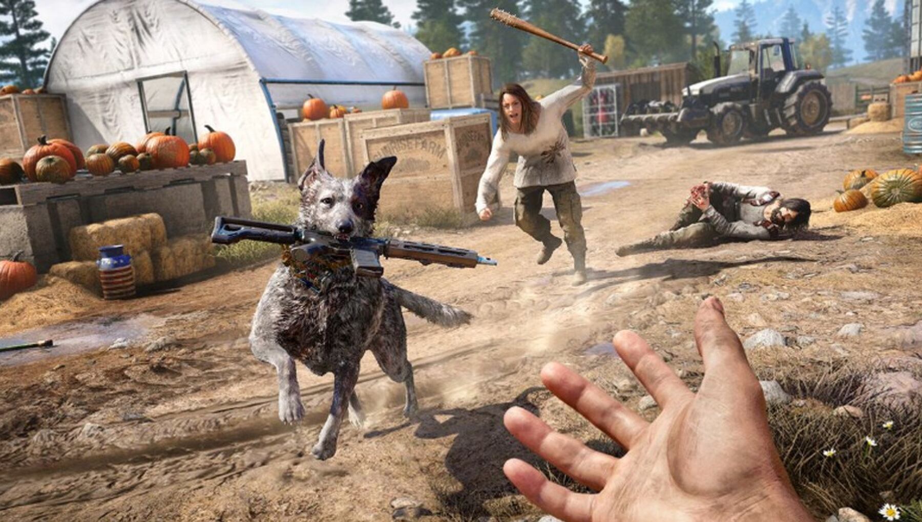 Far Cry 5