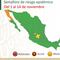 Semáforo Covid-19 en México del 1 al 14 de noviembre: 29 estados estarán en verde