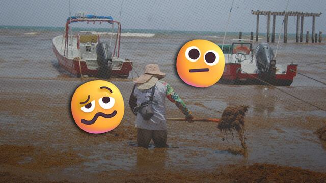Playa del Carmen, vecina de Cancún, luce peor que nunca y seguirá así hasta agosto