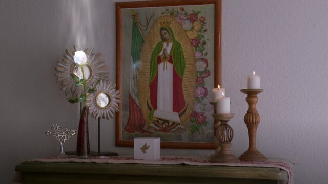 La Rosa de Guadalupe