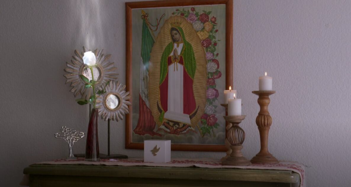 La Rosa de Guadalupe