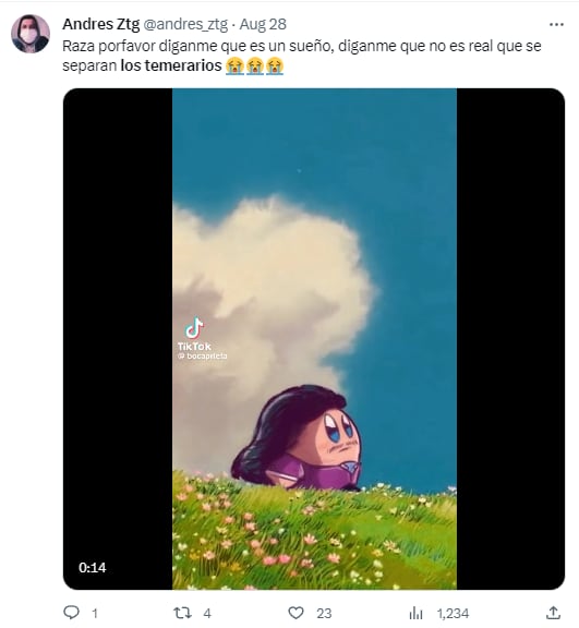 Memes por el adiós de Los Temerarios