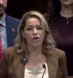 Vanessa López Carrillo, diputada federal por el PT