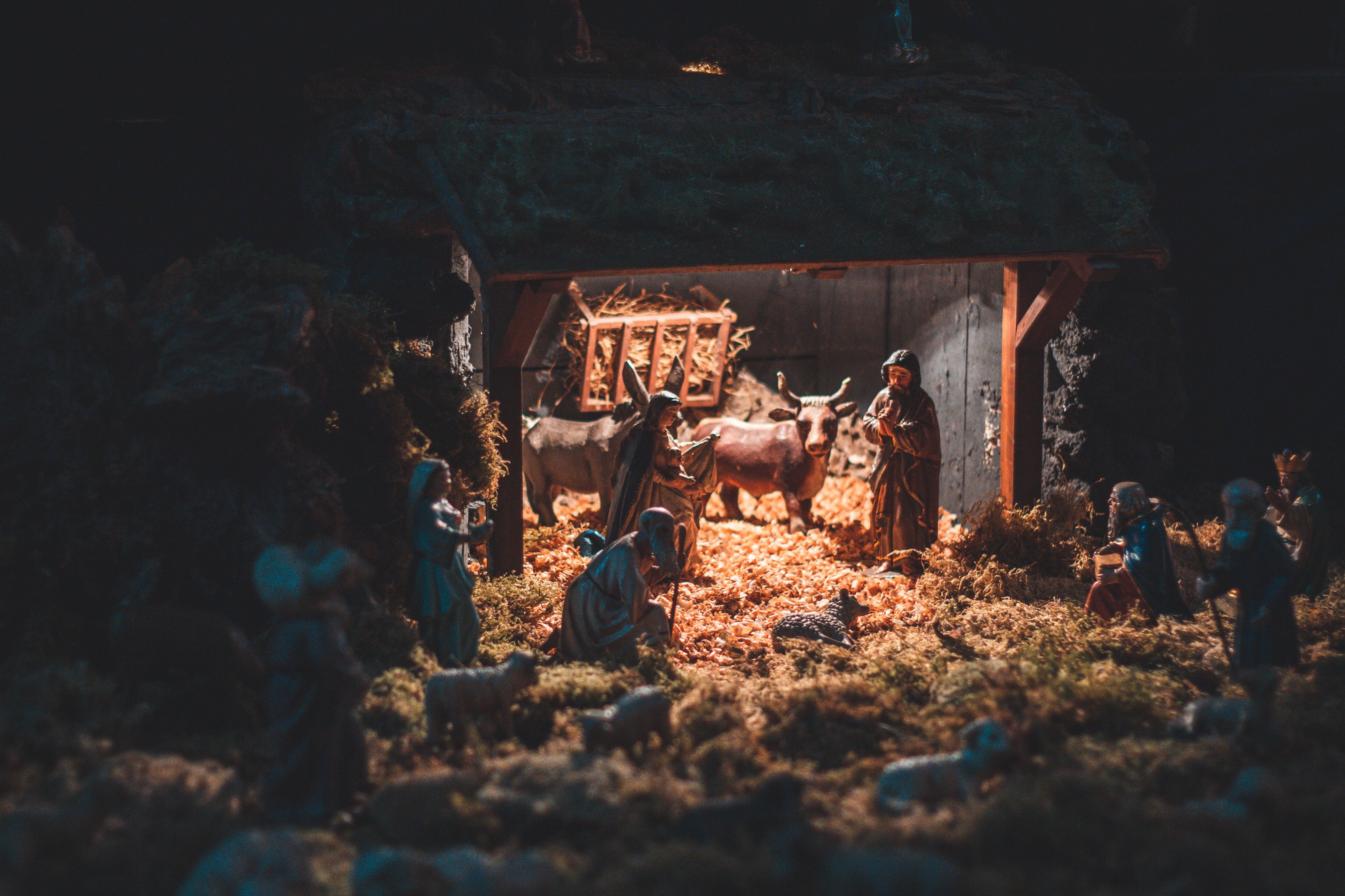 Nacimiento navideño