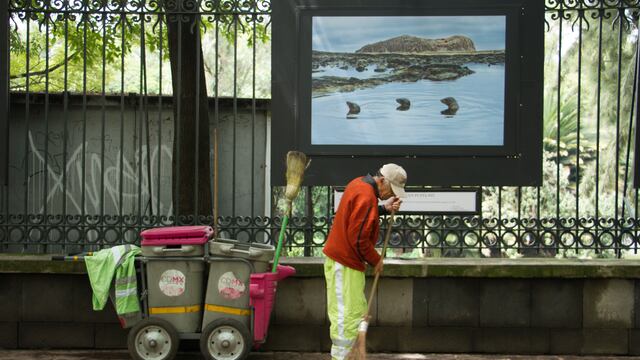 Hombre de la tercera edad trabajando