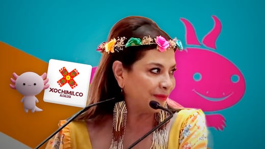 Tras la “ajolotización”, Brugada impulsa regreso de ajolotes a Xochimilco