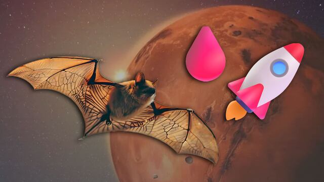 La sangre de los murciélagos podría ayudarnos a llegar a Marte