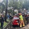 Atienden en Coyoacán 94 reportes por caídas de árboles tras emergencia por lluvias