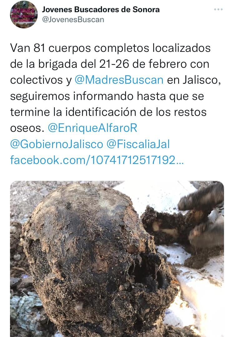 Hallazgos reportados por colectivos de familias de desaparecidos