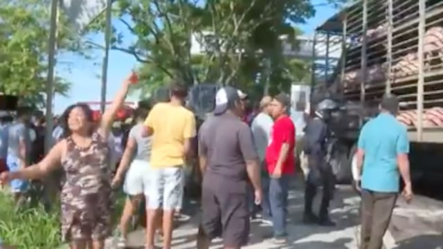 Camión con cerdos que volcó en Veracruz