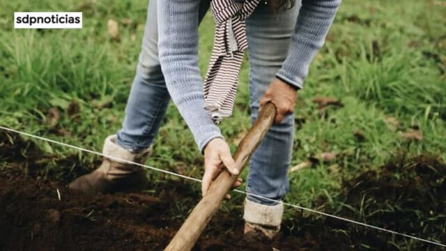 Mónica Hernández Abascal