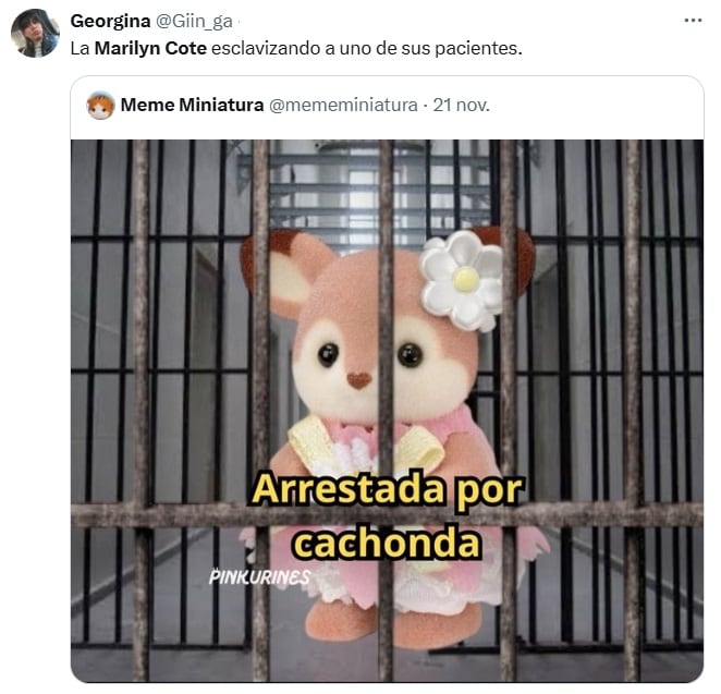 Marilyn Cote: memes se burlan de la detención de la “psiquiatra”