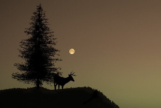 Superluna de Ciervo