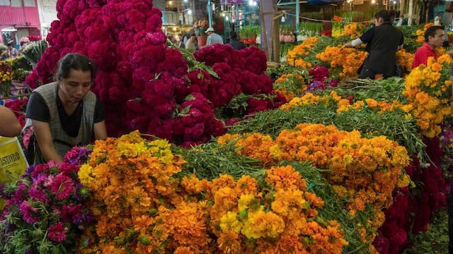 Flores de cempasúchil