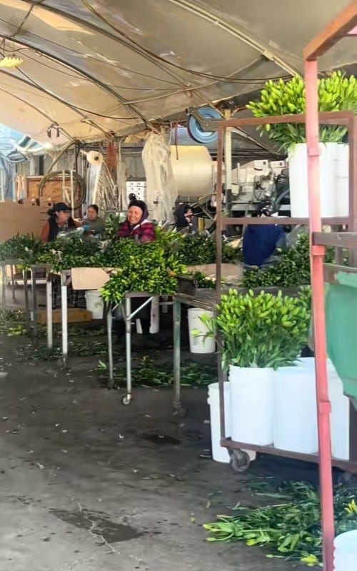 Trabajadores migrantes en Estados Unidos.