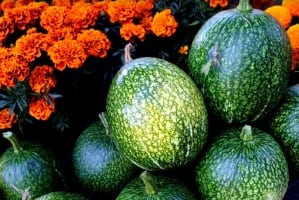 El significado del chilacayote en Día de Muertos 2024 y su relación con la ‘calaverita’