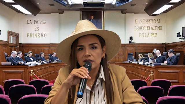 Grecia Quiroz presentó acción de inconstitucionalidad ante la SCJN