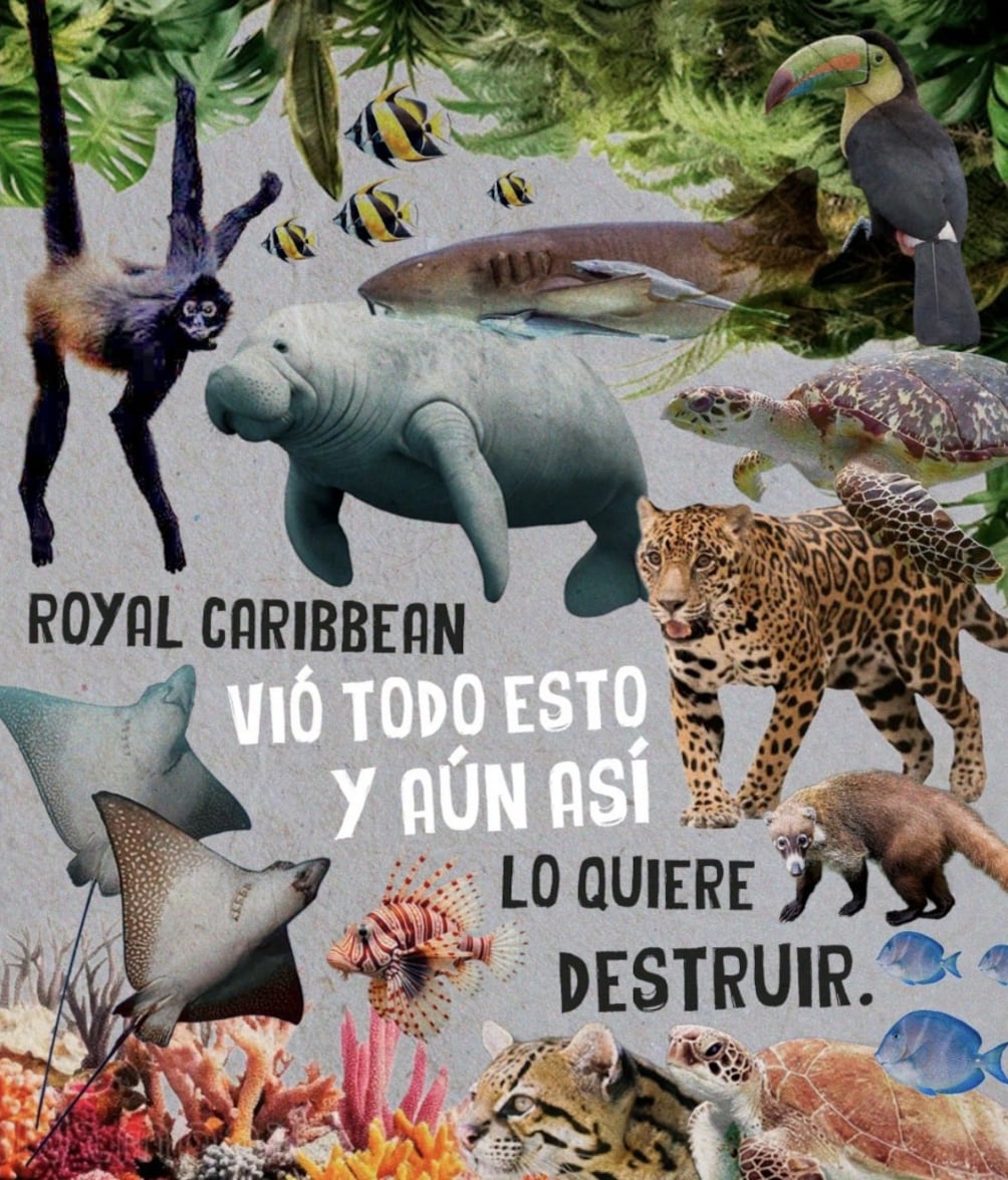 Protesta por proyecto de Royal Caribbean, en Quintana Roo