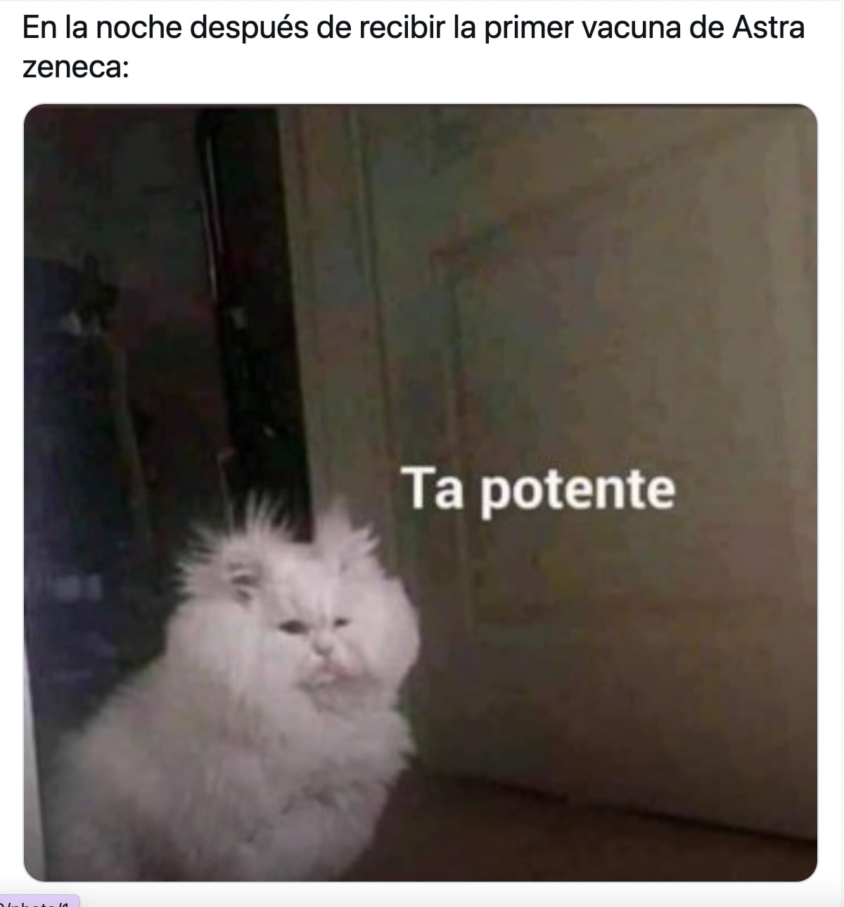 Meme vacunación 30 a 39 años