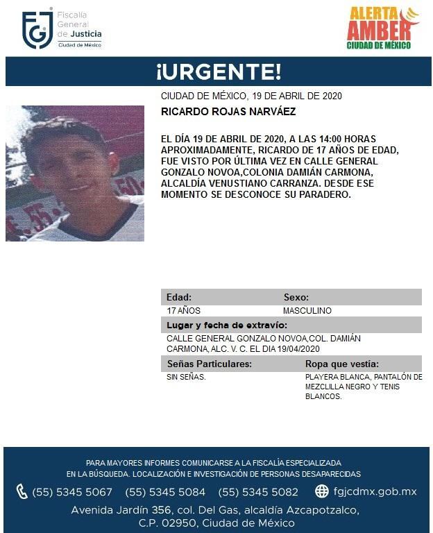 Ficha de búsqueda de Ricardo.