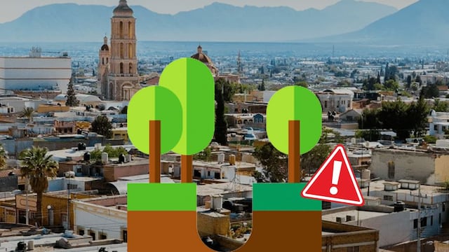 Torreón se hunde 1.7 cm al año: así figura entre las ciudades con mayor hundimiento