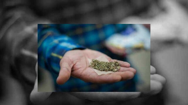 Un estudio determinó que el 30 % de las personas que usaron marihuana el pasado año sufren lo que los expertos identifican como desorden, que consiste en un mayor consumo de la droga y por mayor período de tiempo, así como la imposibilidad de cumplir con sus obligaciones tanto en los estudios como en el trabajo y el hogar.