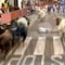 Famoso periodista deportivo sufre impactante golpe de un toro en un evento en España