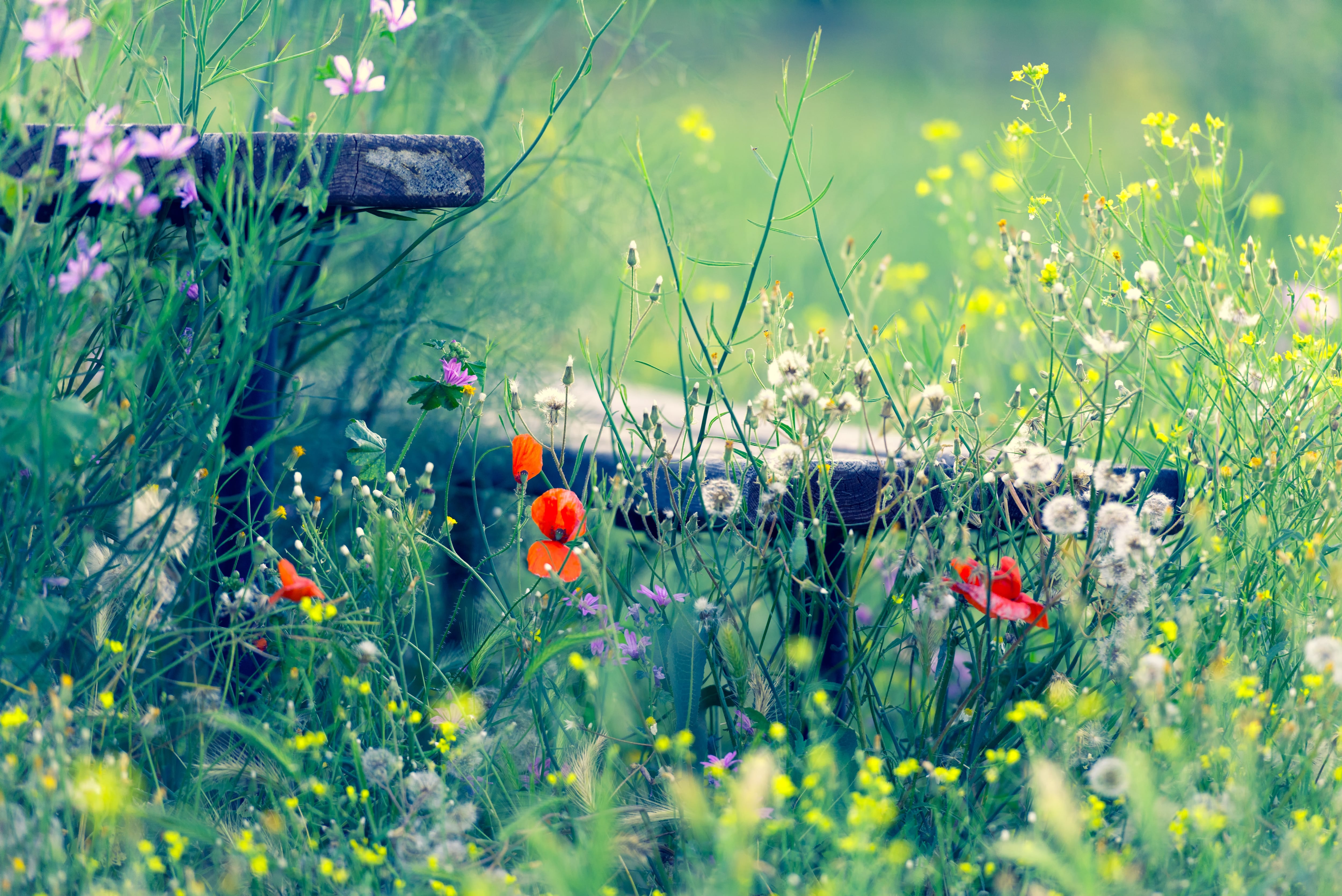 Equinoccio de primavera