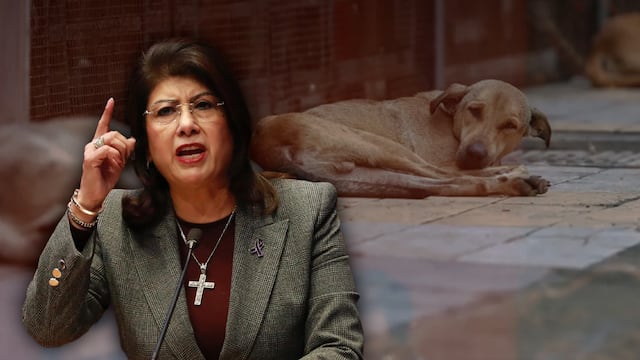 Mariela Gutiérrez defiende por sacrificio de perros en Tecámac