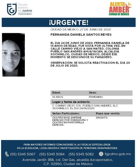 Ficha de búsqueda de Fernanda.