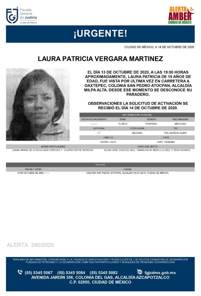 Ficha de búsqueda de Laura