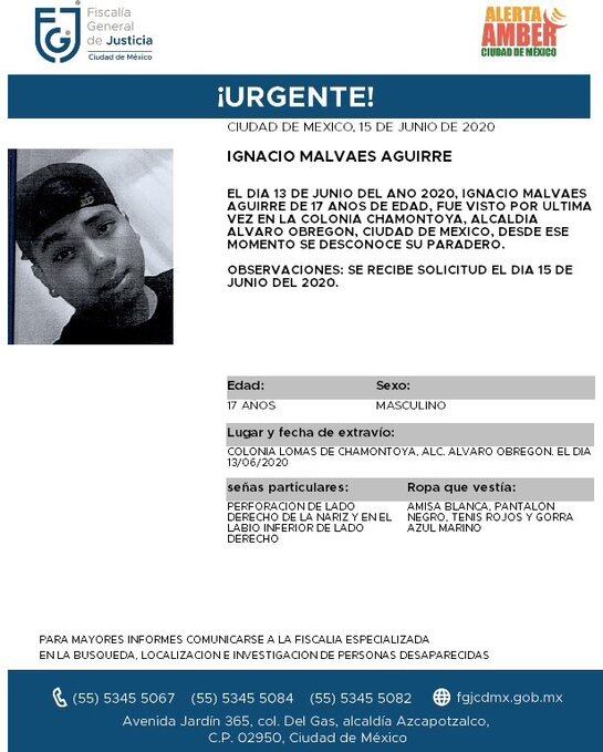 Ficha de búsqueda de Ignacio.
