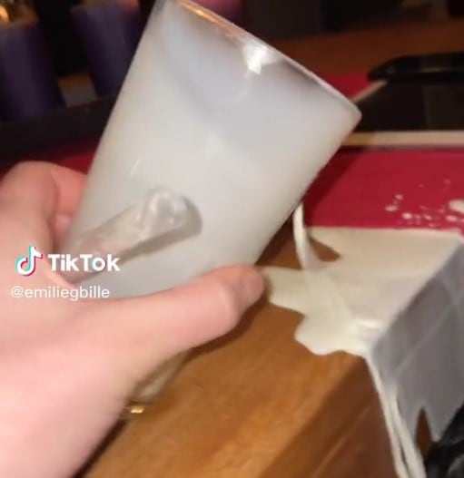 Perro sufre consecuencias por el vaso de leche