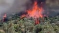 Incendio en Mulegé se propaga rápidamente por los vientos del huracán Polo