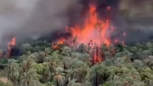 Incendio en Mulegé se propaga rápidamente por los vientos del huracán Polo