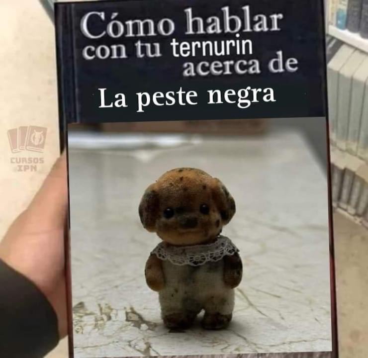 Memes del Ternurín lleno de hongos