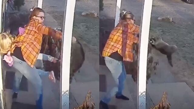 Mapache ataca a una niña justo afuera de su casa; madre sale al rescate