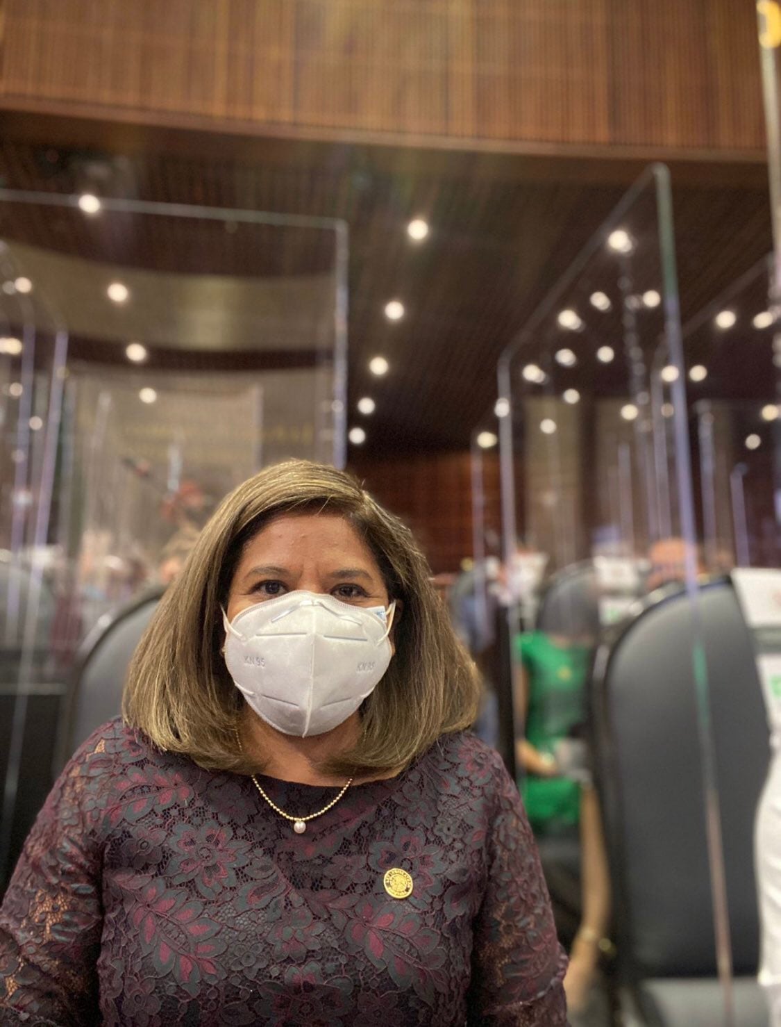 Exclavadista y diputada María José Alcalá