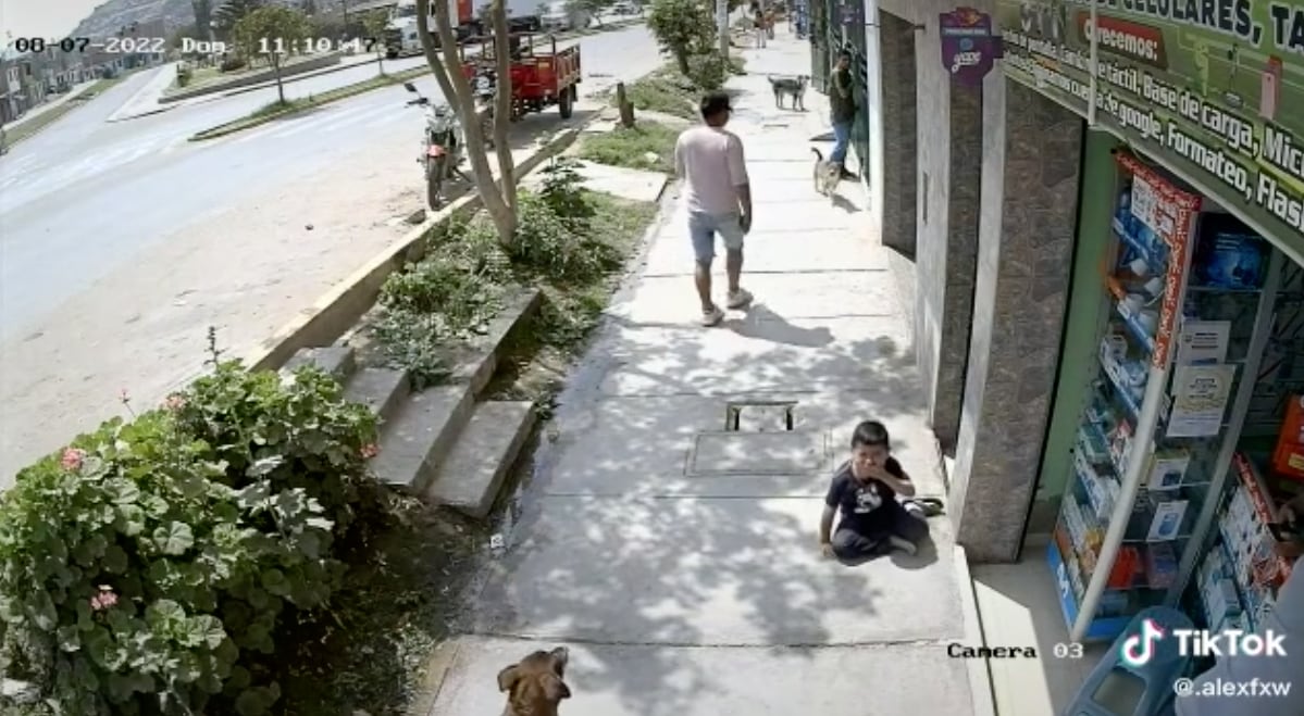 Niño se cae cuando choca con el perro
