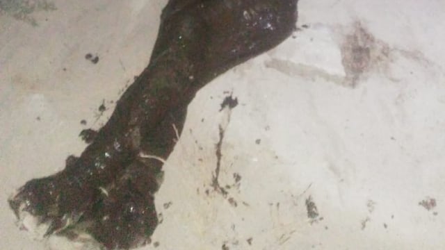 Rescatan a hombre de un pantano en Nezahualcóyotl