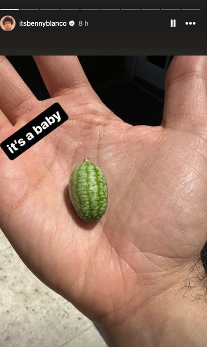 ¿Selena Gomez esta embarazada? Estas son las pistas que involucran a Benny Blanco