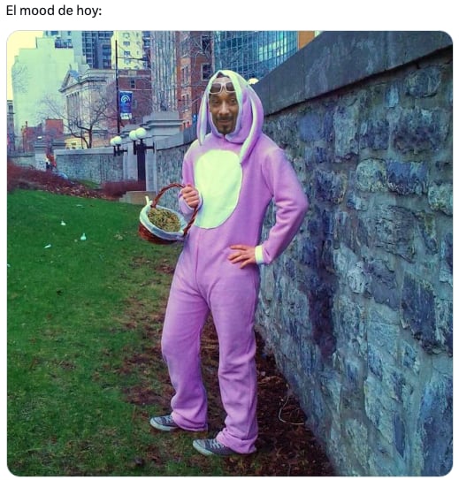 Memes del 420 conmemoran el Día de la Marihuana
