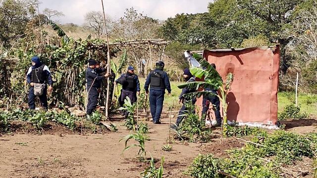 Las autoridades recuperaron el terreno invadido.