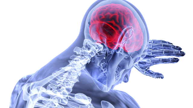 Descubren mecanismo del cerebro para regular el dolor.