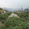 ¿Qué pasó en el canal de Cartagena en Ecatepec? Madres buscadoras localizan cuerpo mutilado de una mujer